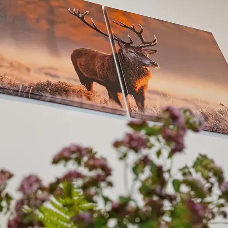 بيت للعطل Naturehouse Cereniste *